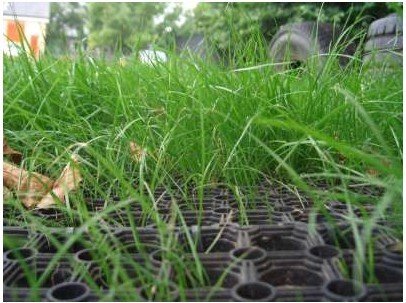 Premium Rubber Grass Mats Tested to EN1177 - Rubber Co
